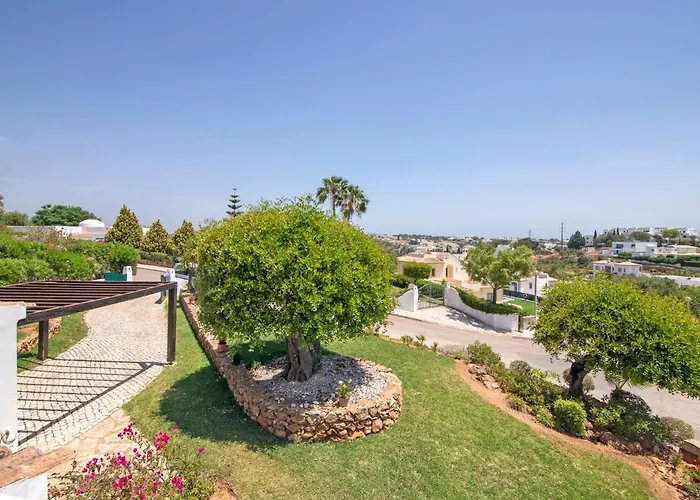 Rose * 알부페이라